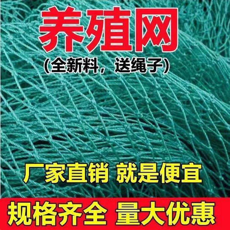 养殖网养鸡网围栏网尼龙网拦鸡网家禽塑料网护栏网防护网菜园围网