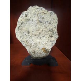 燕子石古生物化石工艺礼品收藏品标本三叶虫家居饰品摆件石头包邮