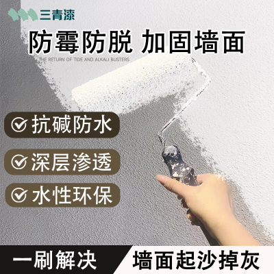 墙固内墙加固剂界面剂混凝土地固除碱防潮防霉水泥起灰固砂剂固化
