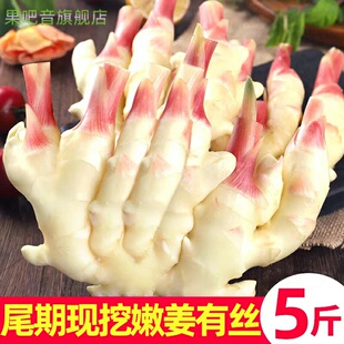 嫩姜新鲜仔姜子姜红芽姜山东指头生姜5斤非云南小黄姜泡老醋鲜姜
