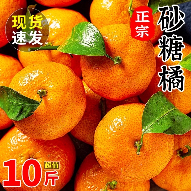正宗金秋砂糖橘小桔子新鲜水果当季现摘薄皮无籽柑橘蜜桔整箱包邮