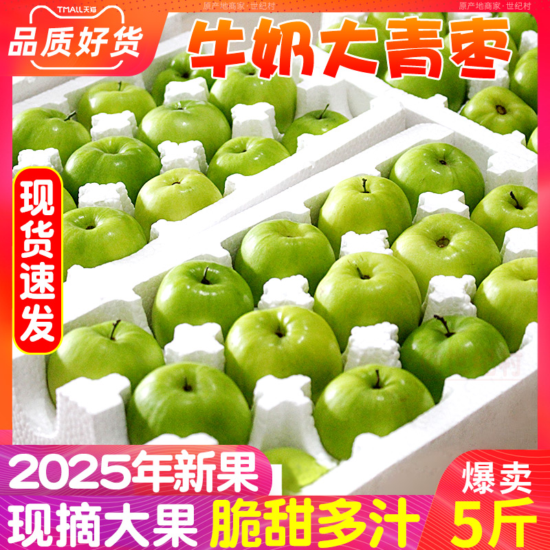 现货牛奶枣大青枣5斤新鲜冬枣贵妃鲜枣水果脆枣子非苹果东枣