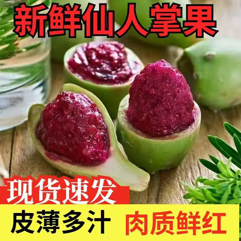 海南新鲜仙人掌果实2斤仙桃 应当季热带稀奇古怪没吃过的水果