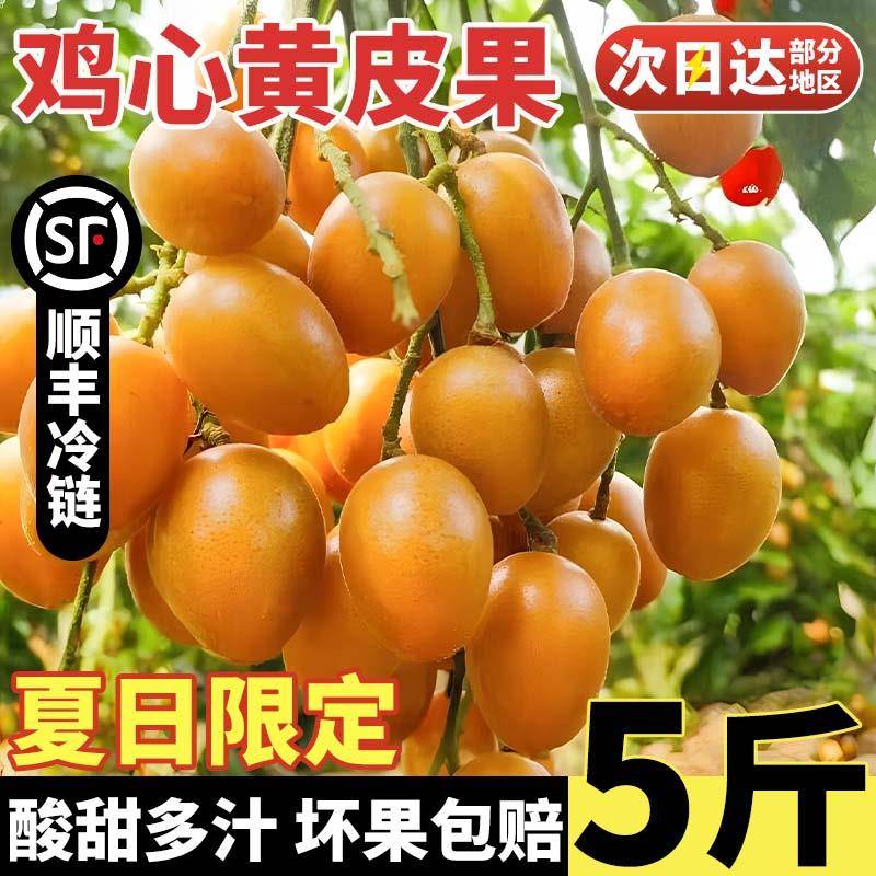 顺丰速发广东冷冻鸡心黄皮果5斤当季酸甜孕妇水果