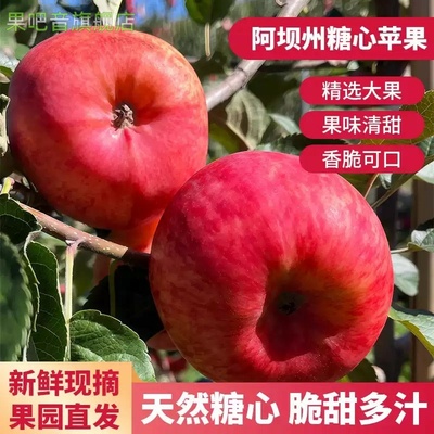 冰糖心红苹果新鲜红富士丑苹果5斤四川阿坝州汶川小金