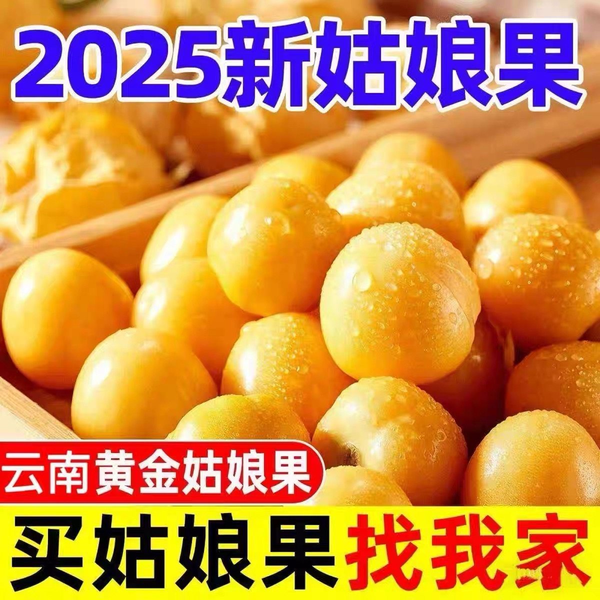 姑娘果5斤特产大果菇娘果水果新 鲜整箱当季东北灯笼果黄