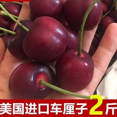 现货美国进口车厘子大樱桃当季时令新鲜孕妇水果2斤装顺丰包邮