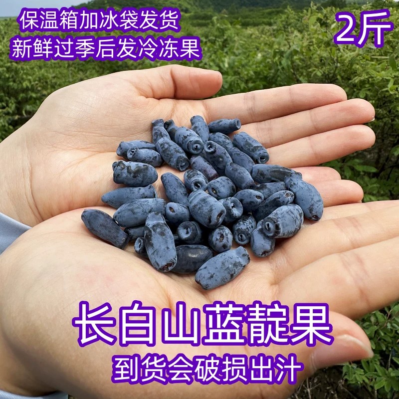 东北冷冻蓝靛果新鲜黑瞎子山茄子果桶装顺丰空运袋装果会破出汁