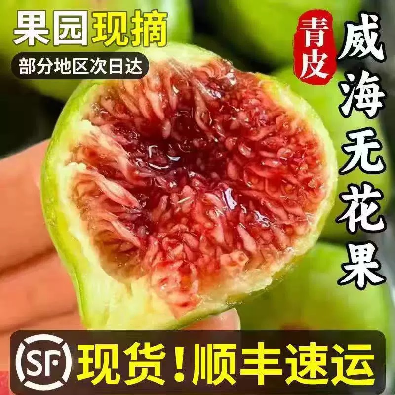 顺丰山东威海青皮鲜无花果特产新鲜水果应季现摘甜糯孕空运