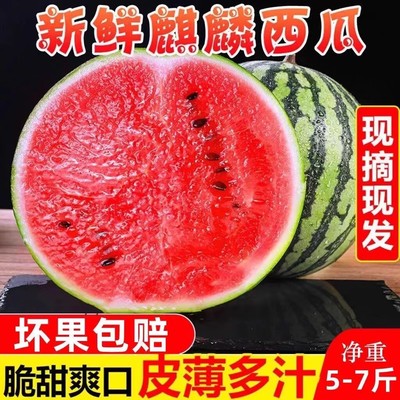 正宗美都麒麟8424西瓜新鲜水果现摘当季孕妇甜籽小冰糖西瓜水果整