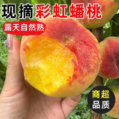 现摘陕西彩虹蟠桃桃子新鲜水果当季高山水蜜毛桃扁桃整箱纽扣包邮