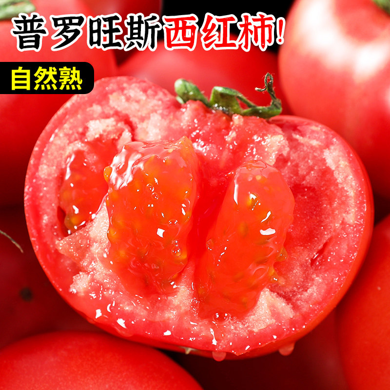 正宗山东普罗旺斯西红柿5斤沙瓤新鲜当季水果番茄生吃爆汁蔬菜大