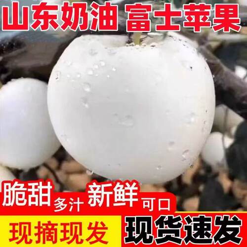 现摘奶油富士苹果牛奶白苹果黄金奶油冰糖心当季新鲜水果脆甜整箱