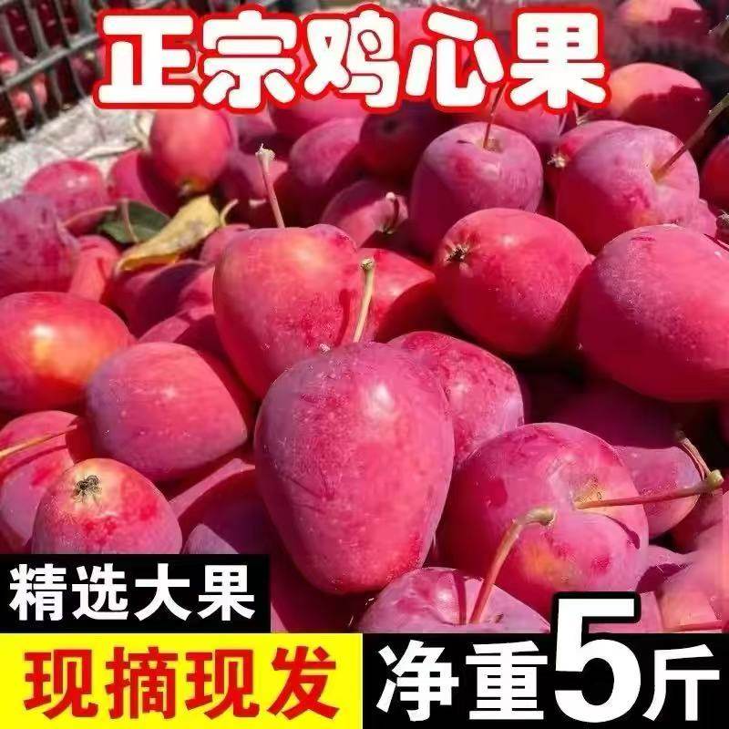 顺丰包邮东北特产鸡心果脆甜锦绣海棠果酸甜当季应季孕妇小苹果