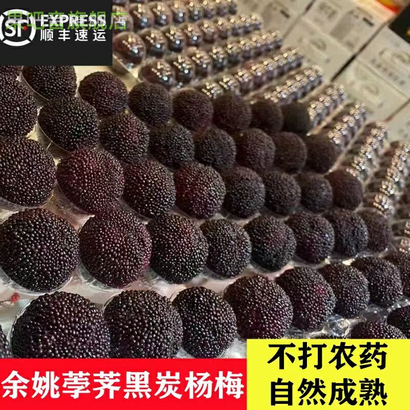 冷冻杨梅新鲜农家孕妇水果余姚黑炭杨梅非东魁现摘