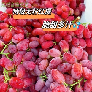 现摘葡萄克伦生红提新鲜水果提子脆甜皮薄无核孕妇果园直发冰美人