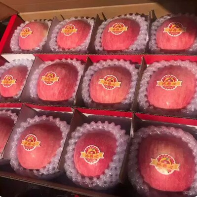 【抢购中】今年新果正宗吉县苹果壶口苹果新鲜红富士苹果应季水果