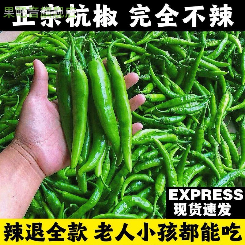 【完全不辣】正宗新鲜杭椒不辣薄皮青辣椒生吃水果杭尖椒现摘现发,水产肉类/新鲜蔬果/熟食,辣椒,淘宝优惠券,粉丝福利购,淘宝优惠卷
