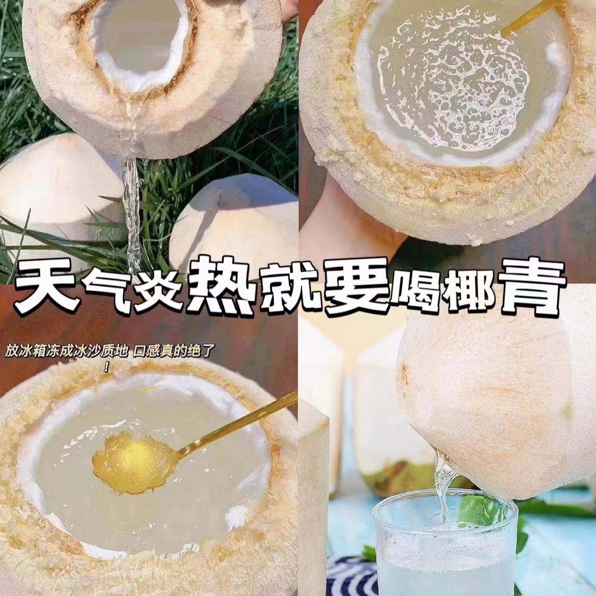 正宗海南椰青新鲜椰子去皮当季孕妇水果整箱原汁原味送开椰器吸管,水产肉类/新鲜蔬果/熟食,椰青,淘宝优惠券,粉丝福利购,淘宝优惠卷