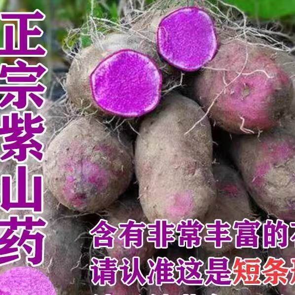 赣南紫山药10斤现挖脚板薯毛暑大薯紫玉淮山新鲜铁棍山药农家蔬菜