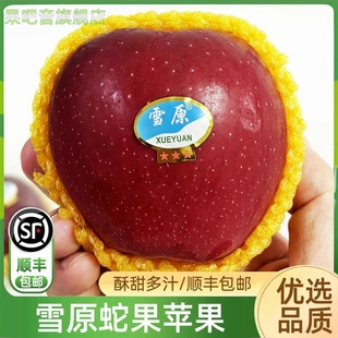 雪原蛇果苹果6粒装 酥甜多汁黄土高原高海拔顺丰包邮