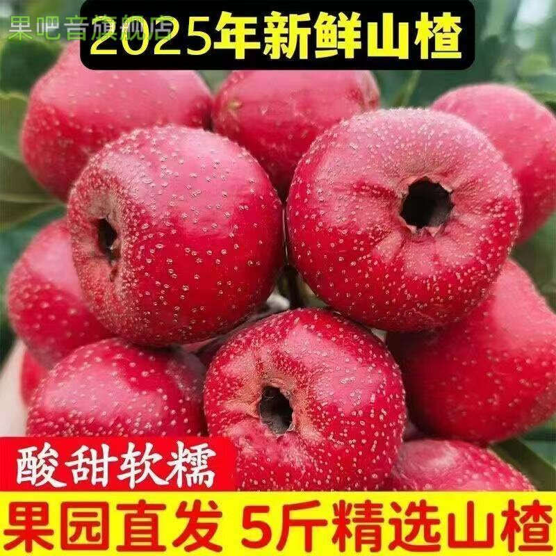 山楂鲜果正宗大五菱金星现摘酸甜新鲜大棉球甜红子山楂批发一整箱