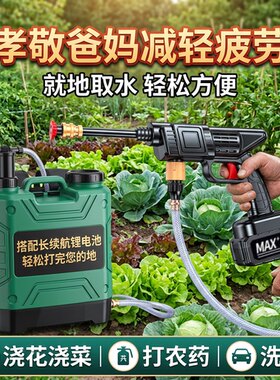 无线锂电高压洗车机家用自吸