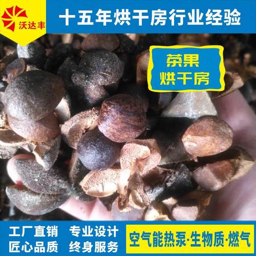 厂家直供茶果烘干房，茶油树果实空气能热泵烘干机，茶籽加工设备