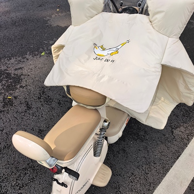 可爱二次元小猫手绘电动车新型升级特厚双面防水防暴雨防寒挡风被