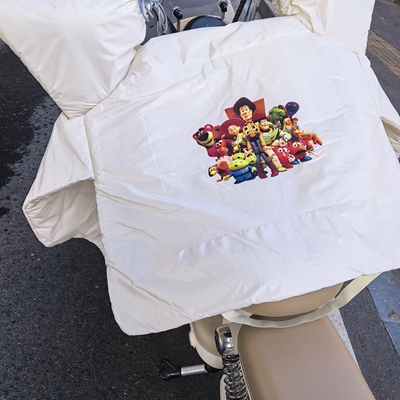 可爱玩具总动员周边电动车新型升级特厚双面防水防暴雨防寒挡风被