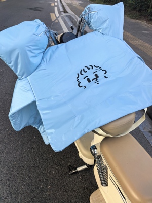 陈奕迅大头仔EF电动车新型升级特厚双面防水防暴雨防寒挡风被