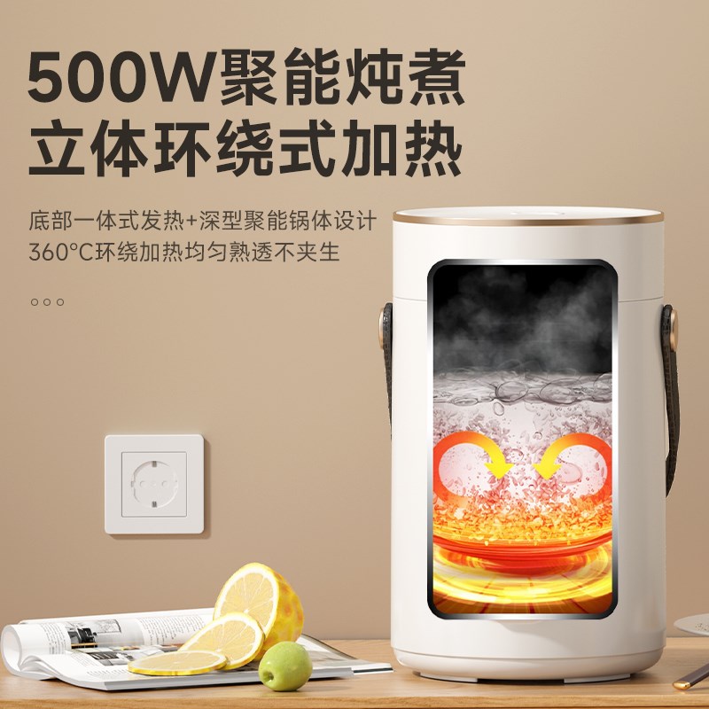 德国瑞本电煮锅家用学生宿舍一体多功能便携式小型炖煮泡面粘锅