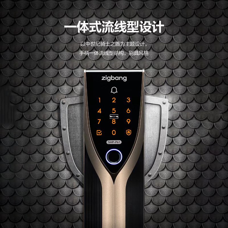 韩国直帮指纹锁智能电子防盗门网密码全自动