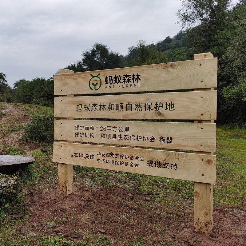 蚂蚁森林林号防腐木宣传栏指引牌露营地导向牌标识草警示牌
