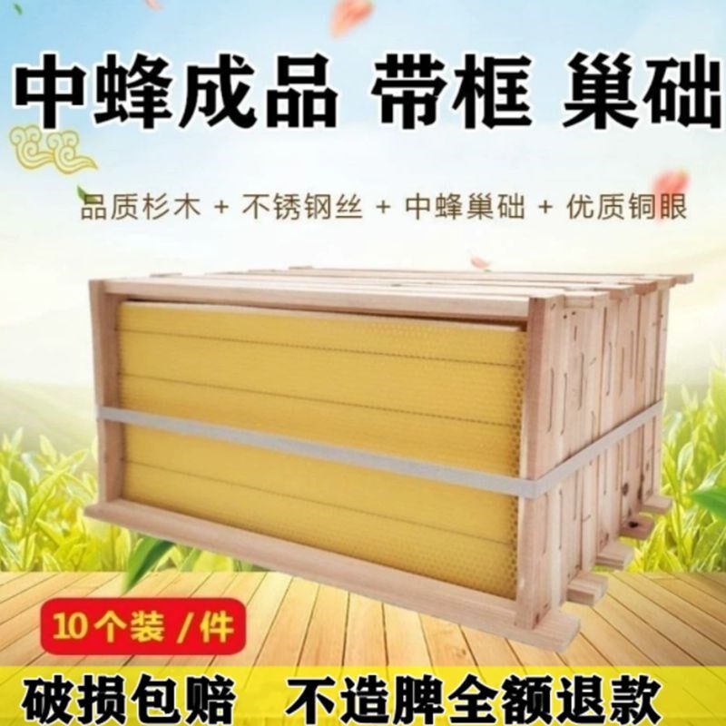 中蜂成品巢础中峰杉木巢框带巢基蜜蜂箱巢础养峰蜂具用品养蜂工具