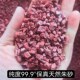 公母貔貅十二生肖福五帝钱黄朱砂钥匙扣挂R件汽车钥匙链挂饰