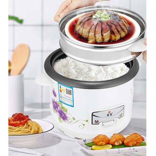 ?Mini Rice Cooker Small Electric Pot for Dorm with Steamer