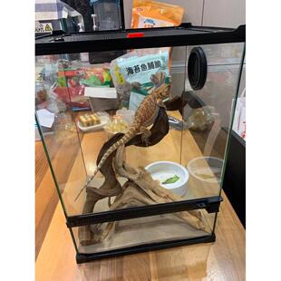 宠物蜥蜴保温箱爬虫玻璃缸爬宠恒温饲养箱睫角守宫仓鼠水陆两栖缸