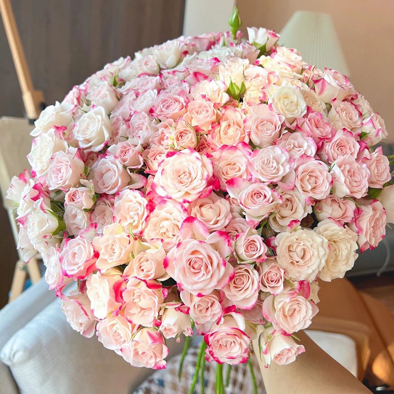 520多头泡泡玫瑰鲜花云南直发昆明送礼情人节直批插花水养插花