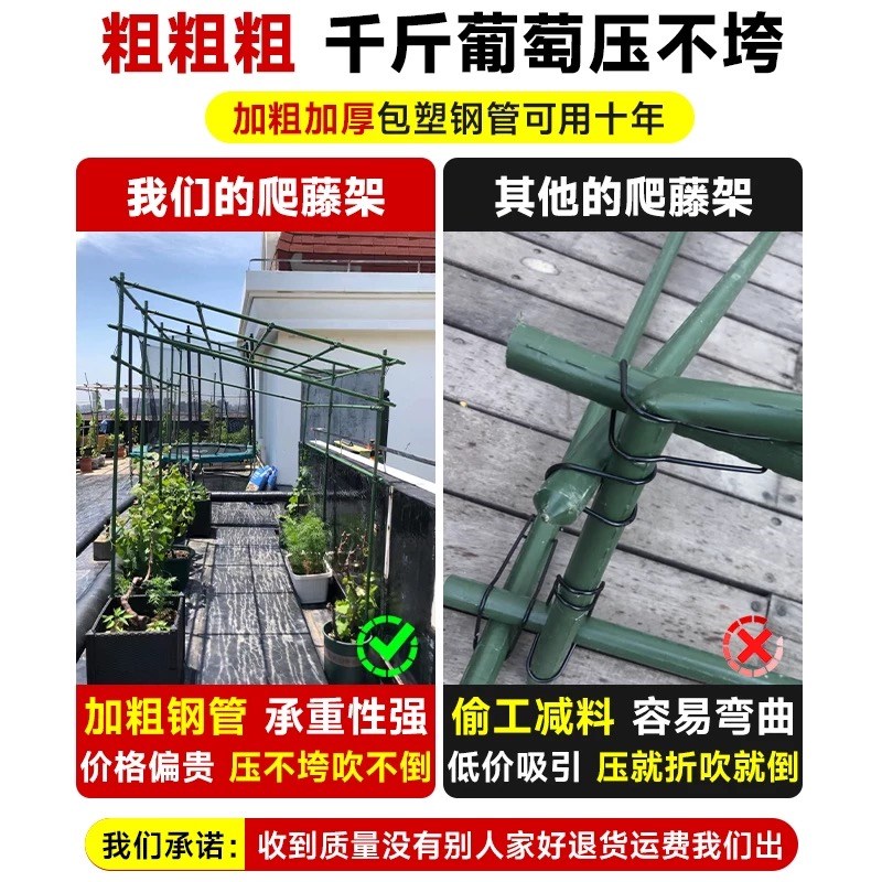 葡萄架子庭院户外花架黄瓜爬藤架植物支撑杆百香果丝瓜攀爬架种菜