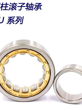 圆柱滚子轴承NU NJ NUP 304 305 306 307 308  309 310 311 312EM