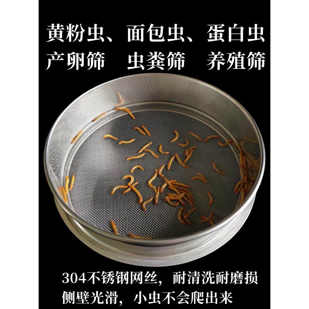 筛网筛子蛋白虫黄粉虫粪筛产卵筛养殖筛大麦虫304不锈钢虫粪筛子