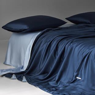 泽兮家居 柔软凉感天丝夏凉被夏季冰丝夏被四件套空调被220x240cm