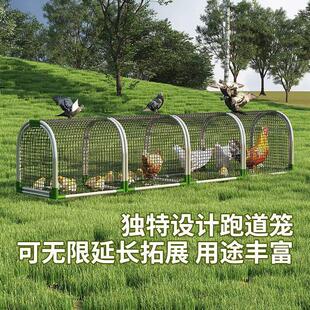 走地鸡笼跑道长条鸡笼管道跑道笼隧道笼农家散养鸡子铁网鸡舍农村