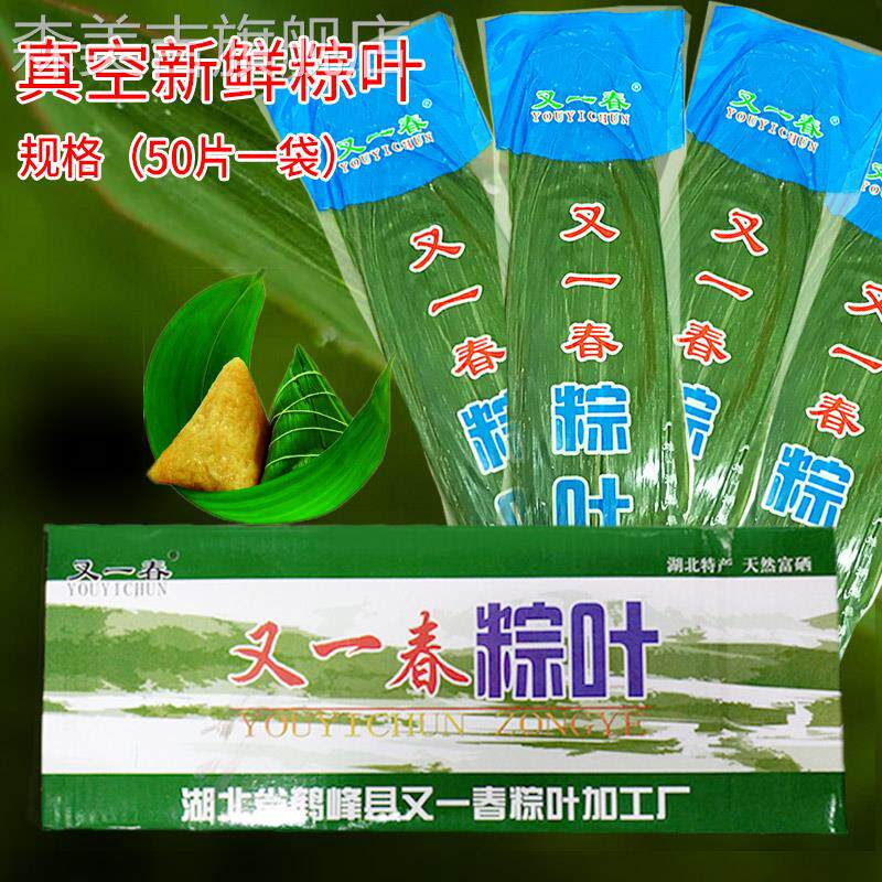 又一春粽叶新鲜粽子叶大号真空干今年大片50片一袋粽叶包粽子专用