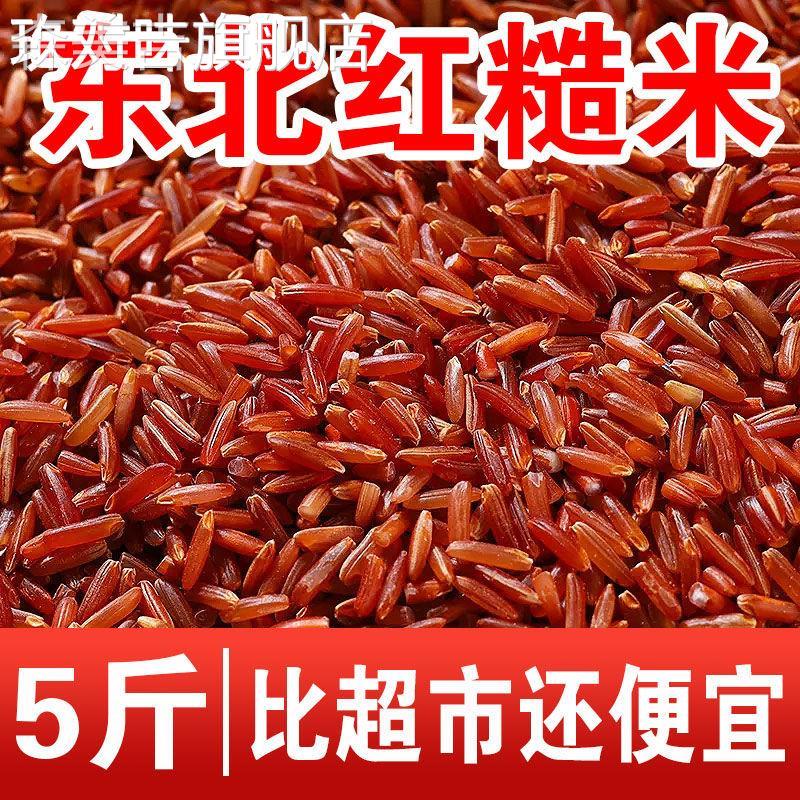 东北红米新米3/5斤 五谷杂粮吃的红米粳米红香米红血稻糙米红糙米