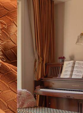 糖焦色丝绒窗帘卧新室遮光高级感款客厅欧LS202213简北约法式轻奢