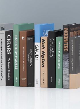 假书装饰摆件客厅装饰书仿真书酒柜书籍装饰品书架书柜拍照道具书