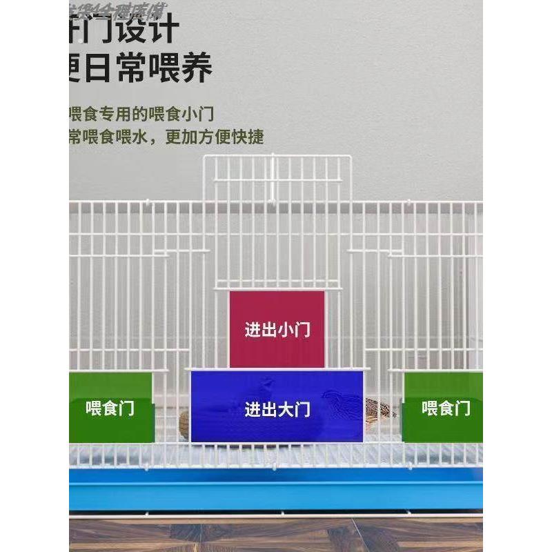 养鸭子专用笼子家用柯尔鸭小鸡专用大号自动清粪便小鸭住的房子
