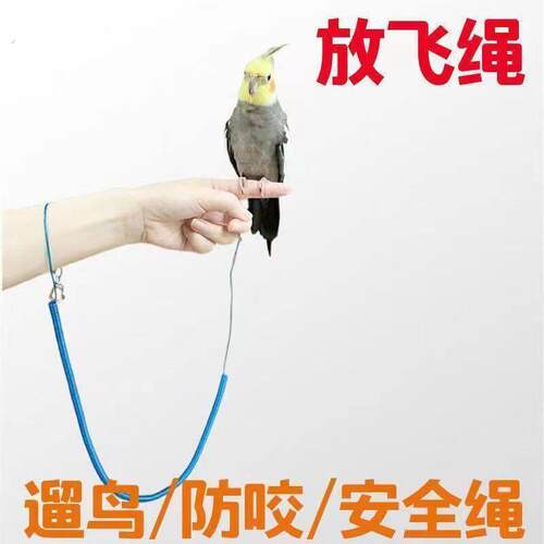 鹦鹉放飞溜鸟绳遛鸟神器珍珠鸟专用放飞绳八哥专用脚环飞行训练